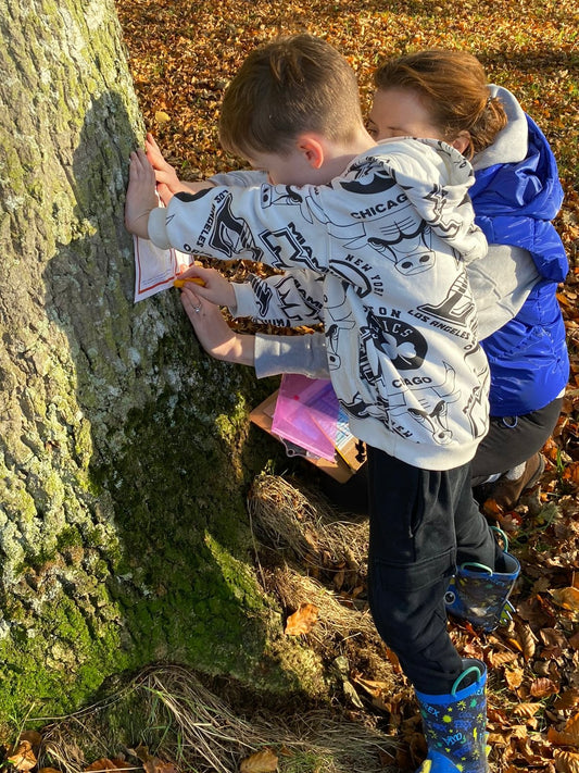 Bark Rubbing Activity Sheet