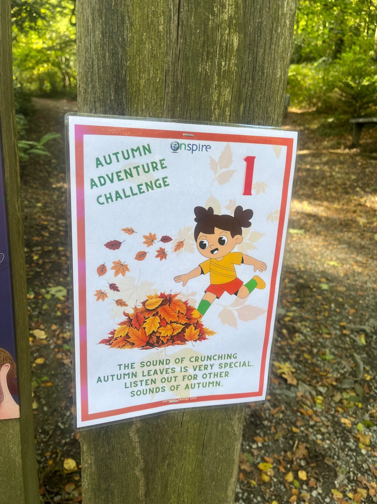 Autumn adventure challenge hunt