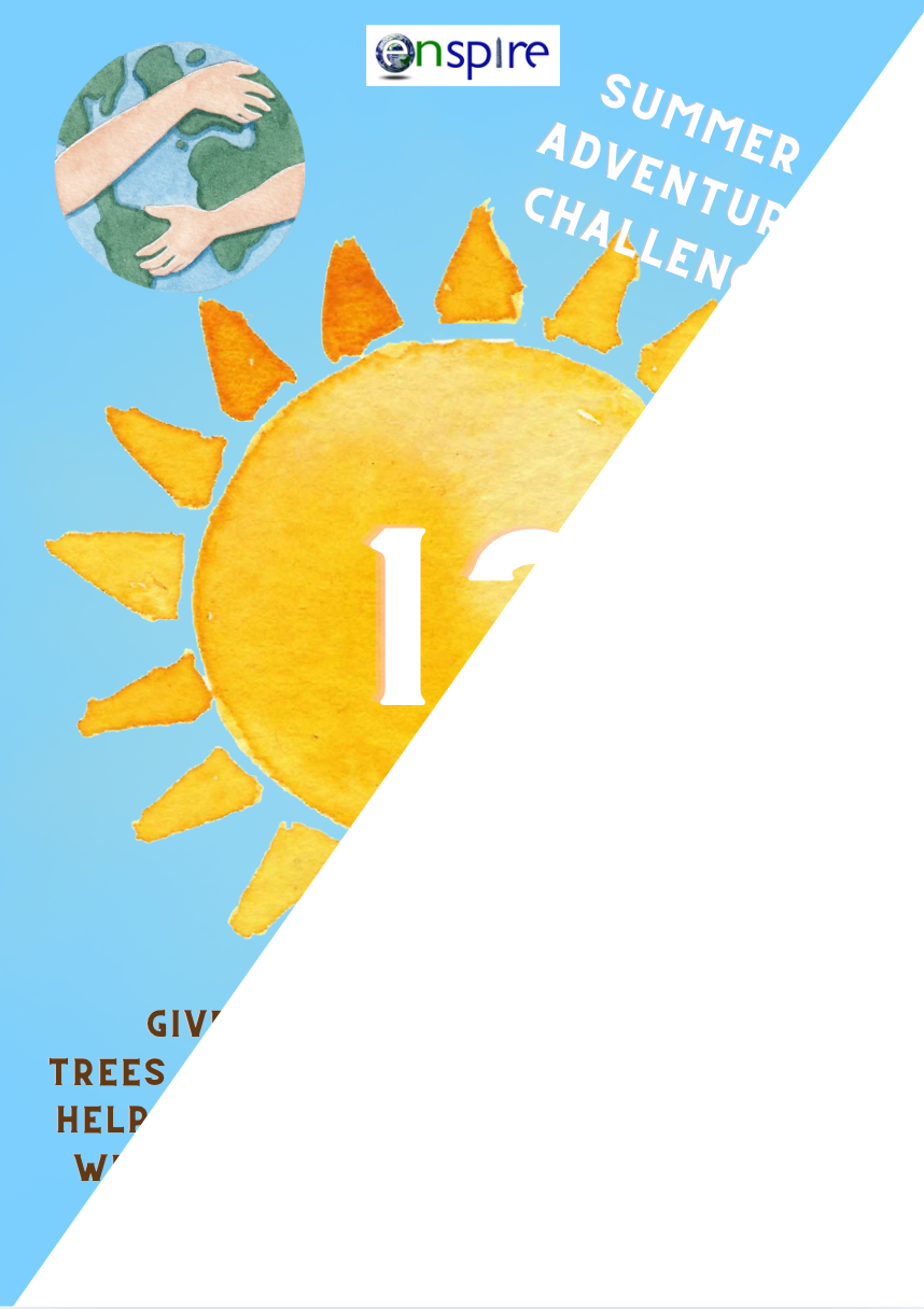 Summer Adventure Challenges
