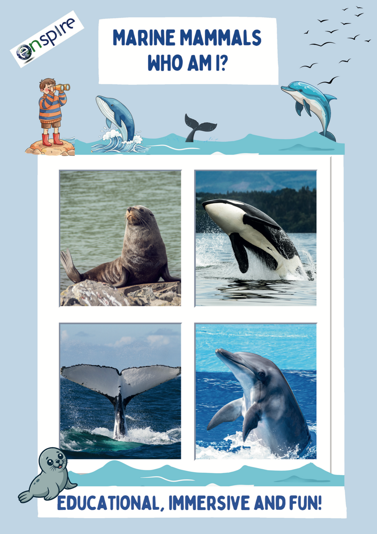 Marine Mammals - 'Who am I? Game