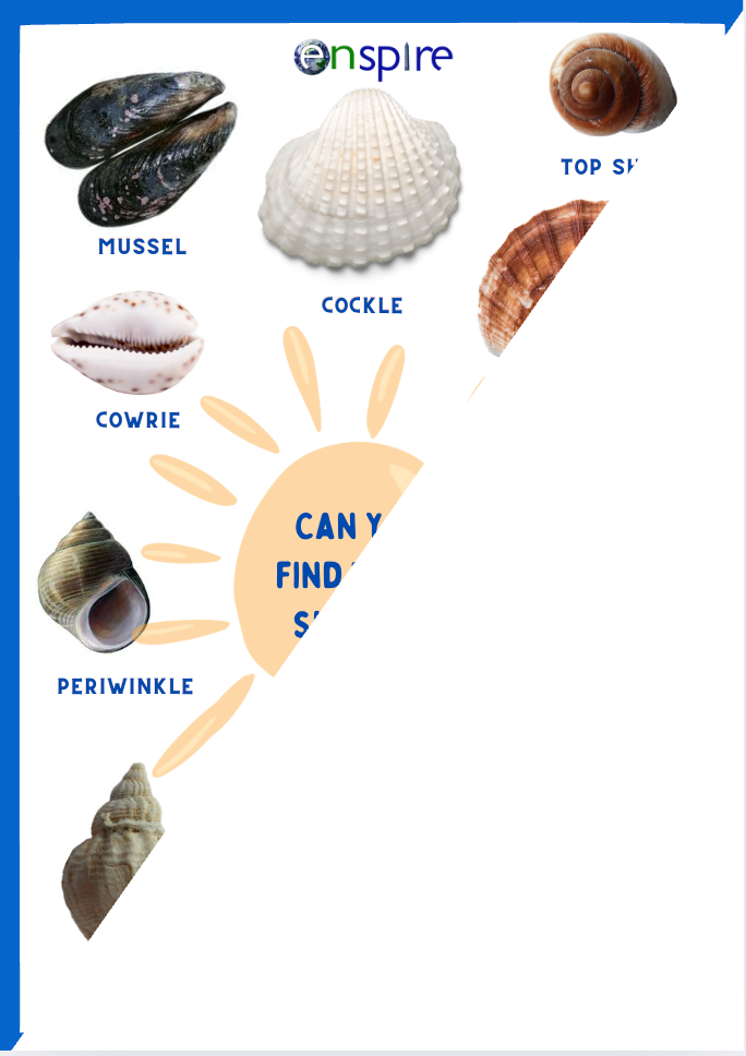 Rock Pools Explorer Pack