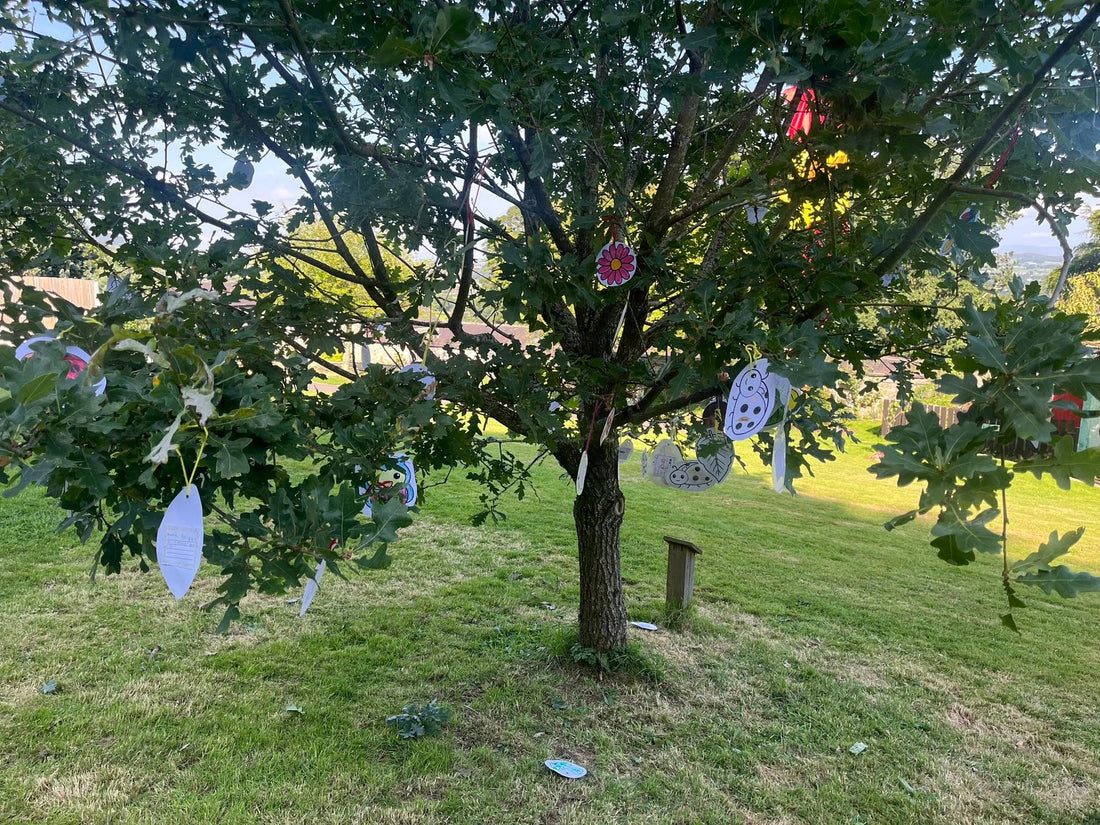 Discover Enspire Learn: Where Curiosity Meets Creativity