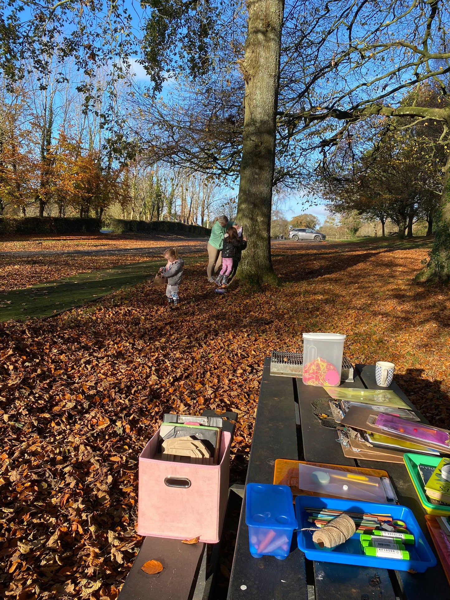 Terrific Tree Explorer Pack