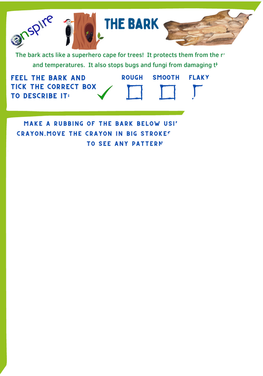 Bark Rubbing Activity Sheet