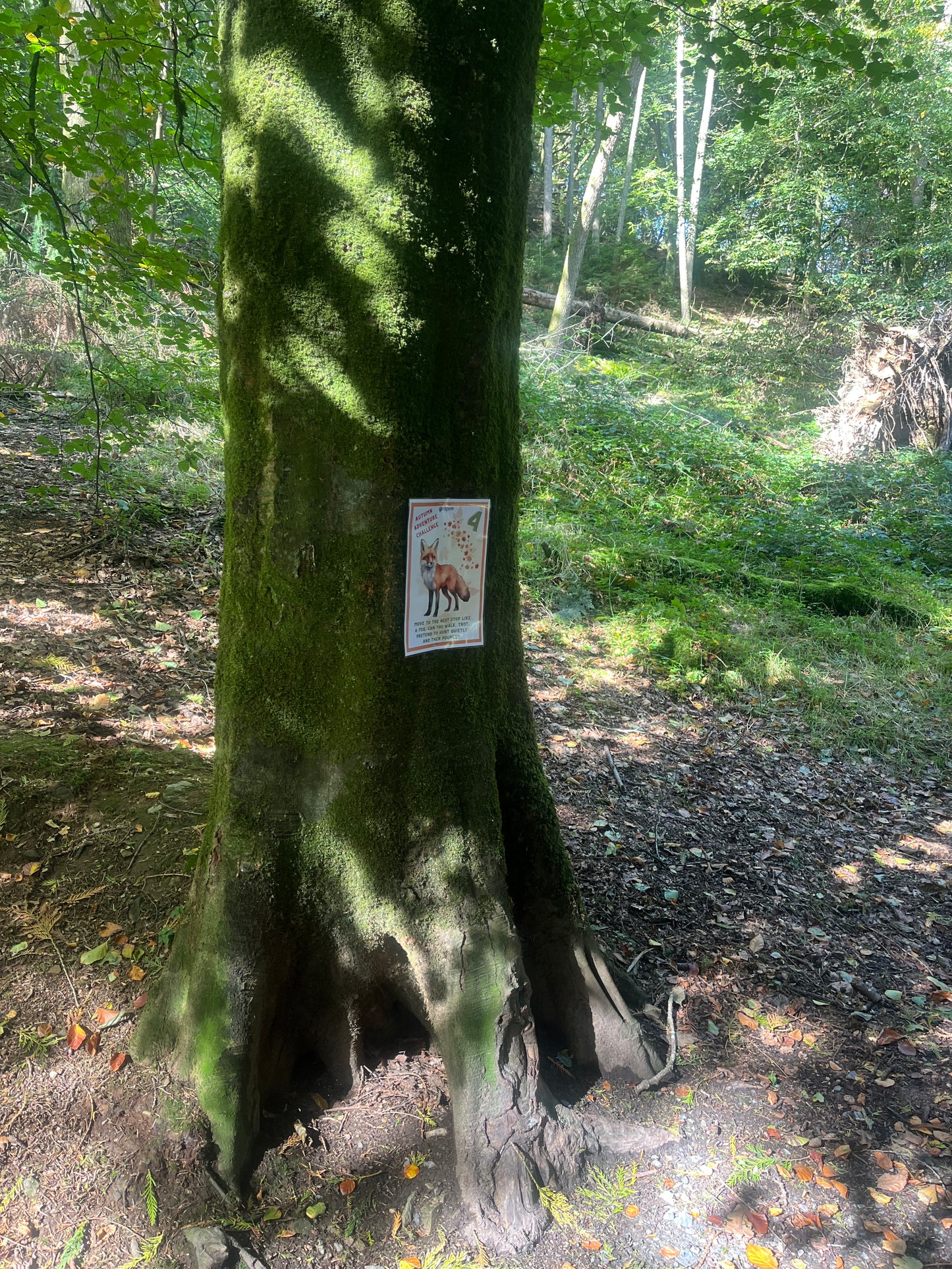 Autumn treasure hunt sheet on tree