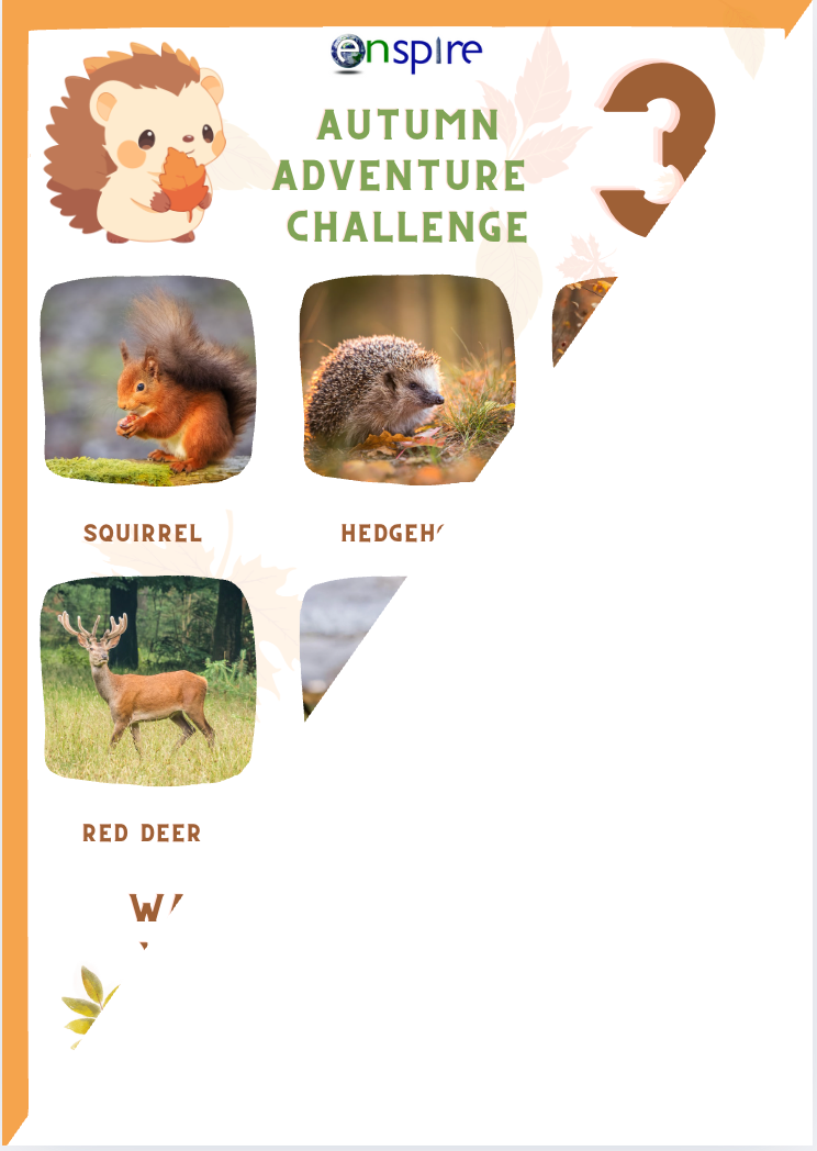 Autumn Adventure Challenge 3 with animals