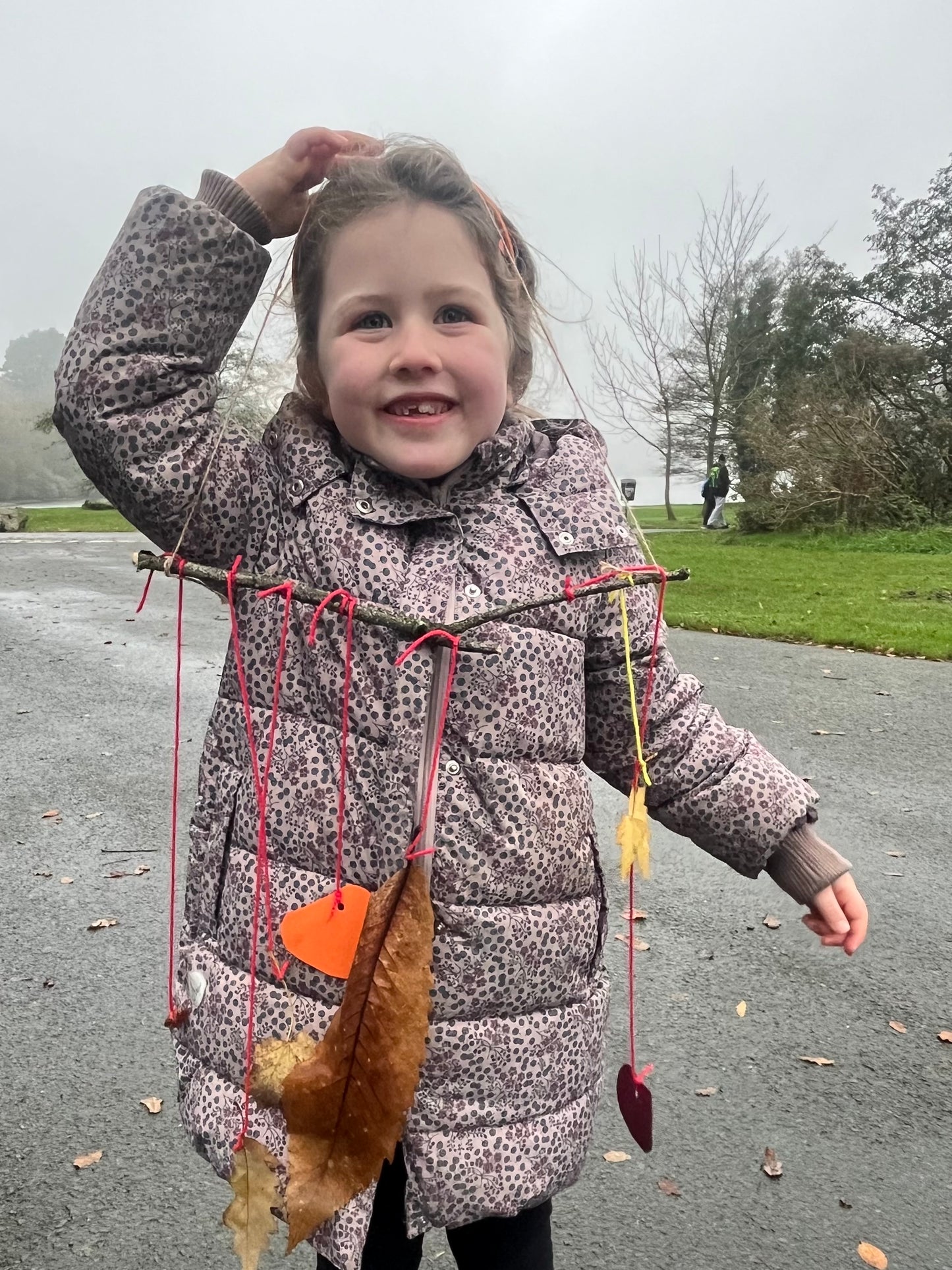 Terrific Tree Explorer Pack