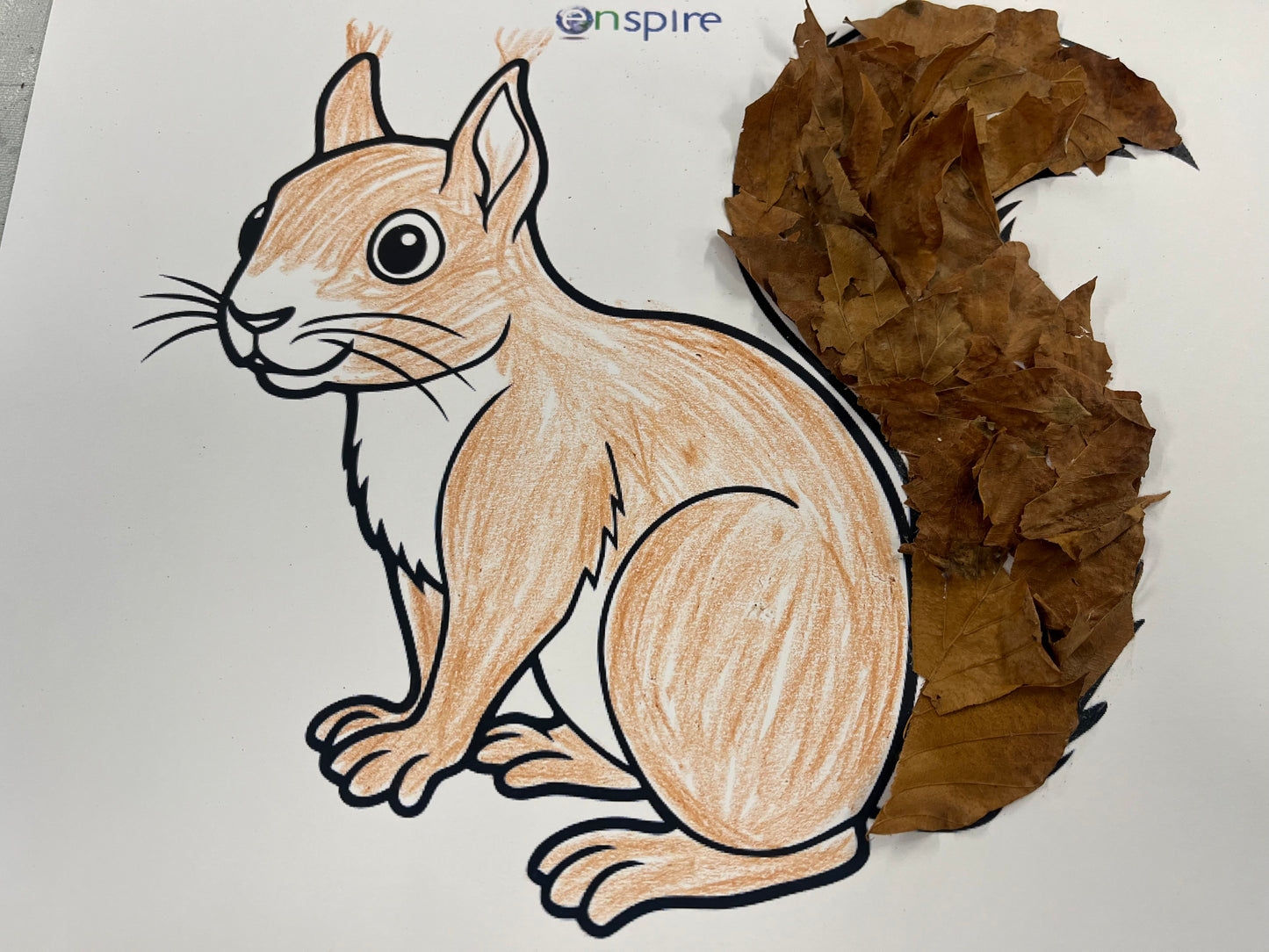 Red Squirrels Explorer Pack