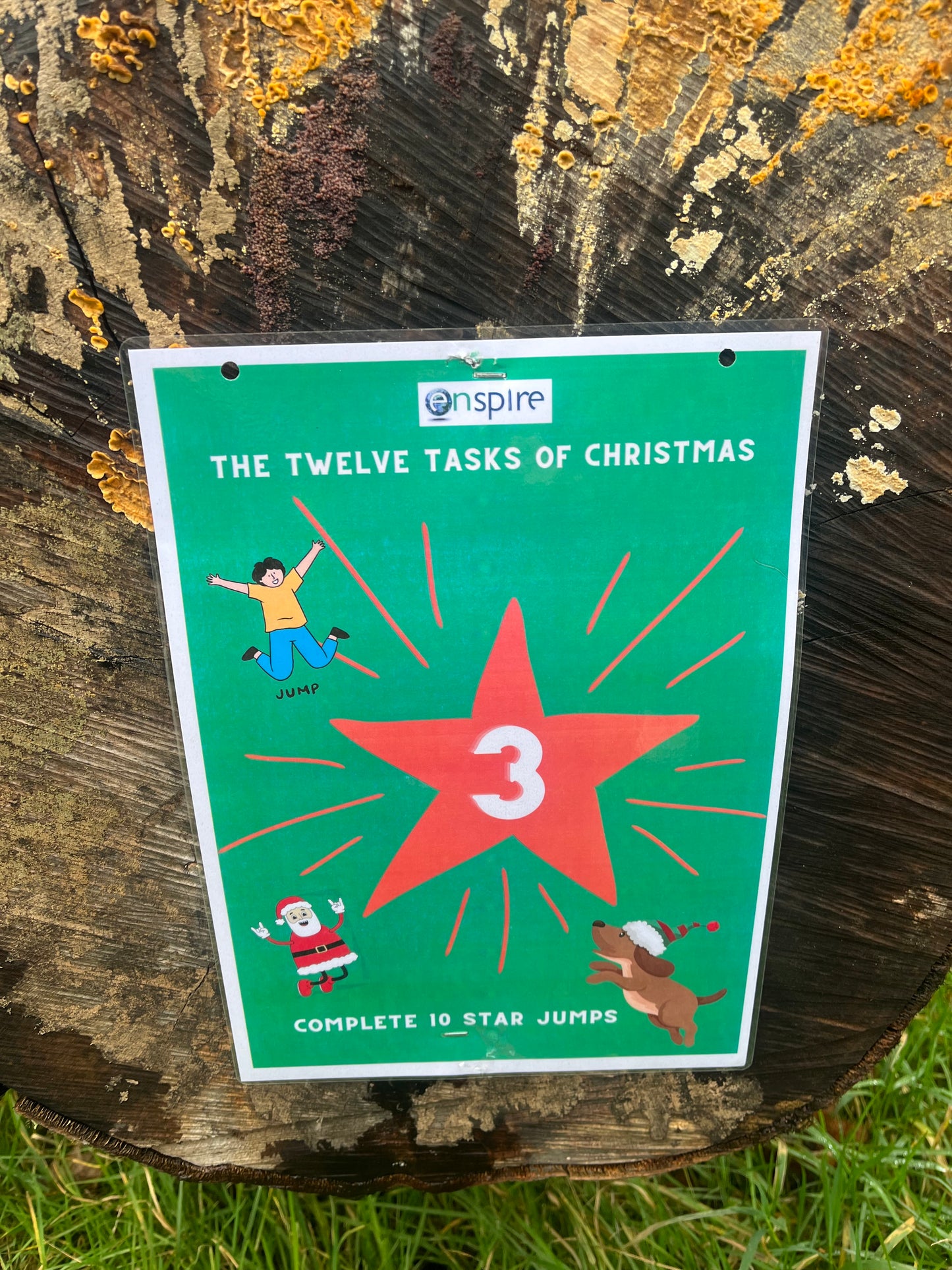 The Twelve Tasks of Christmas Challenge