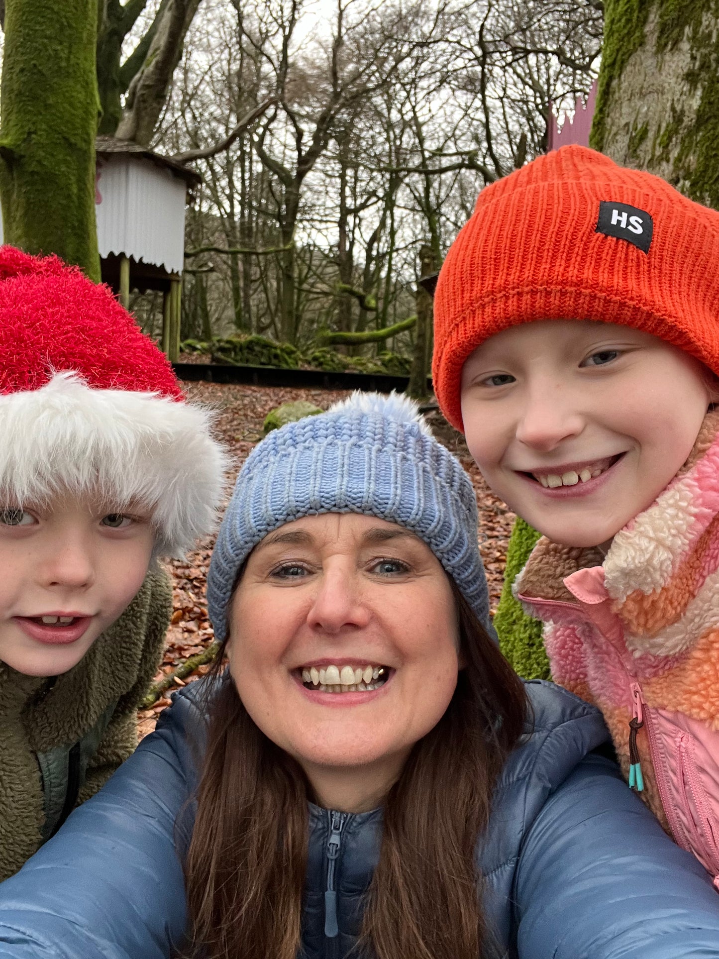 The Twelve Tasks of Christmas Challenge