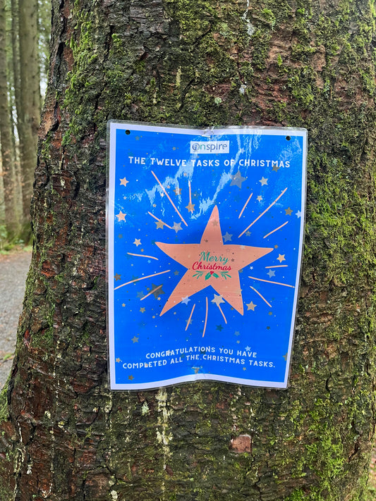 The Twelve Tasks of Christmas Challenge