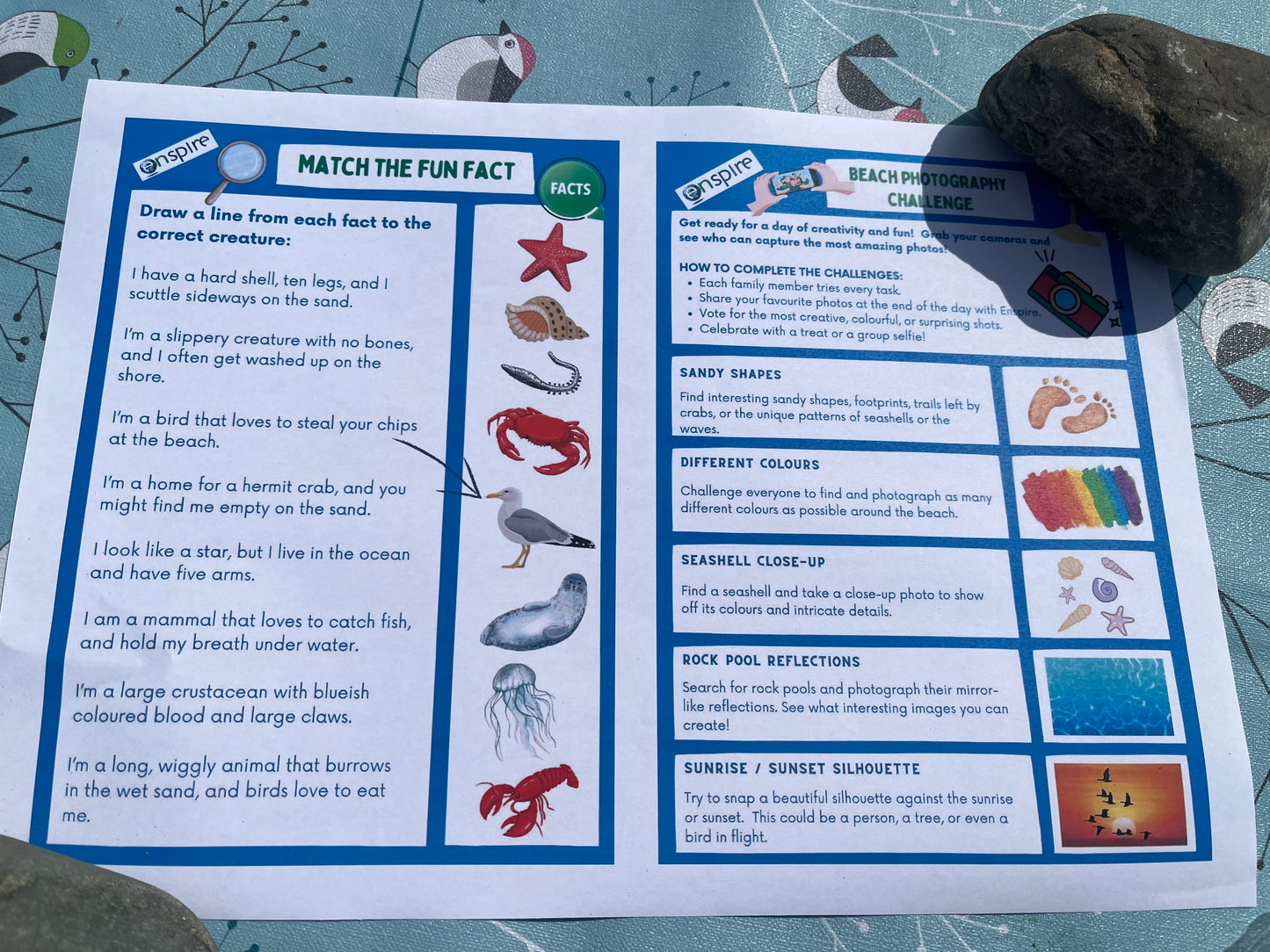 Rock Pools Explorer Pack