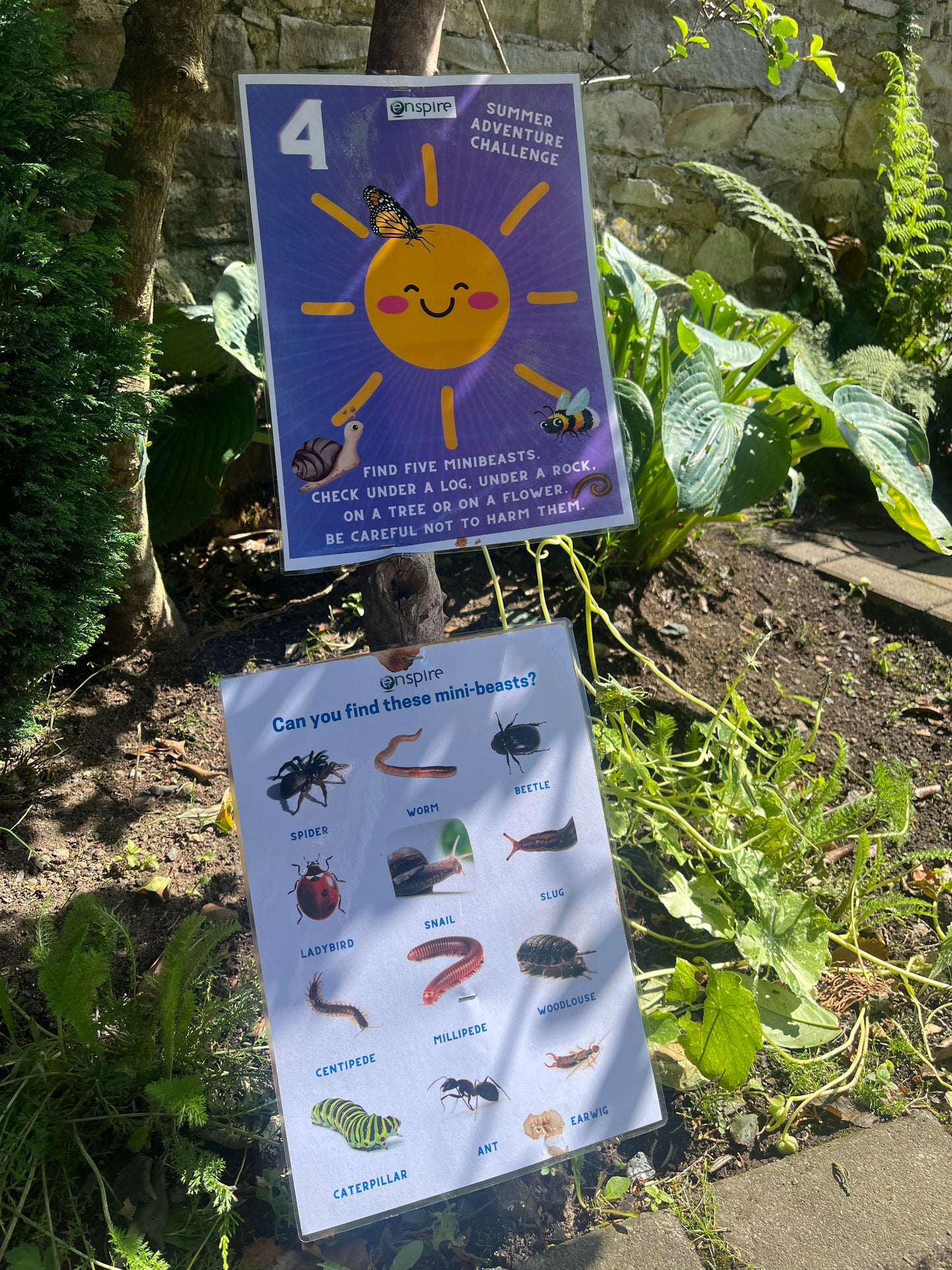 Summer Adventure Challenges