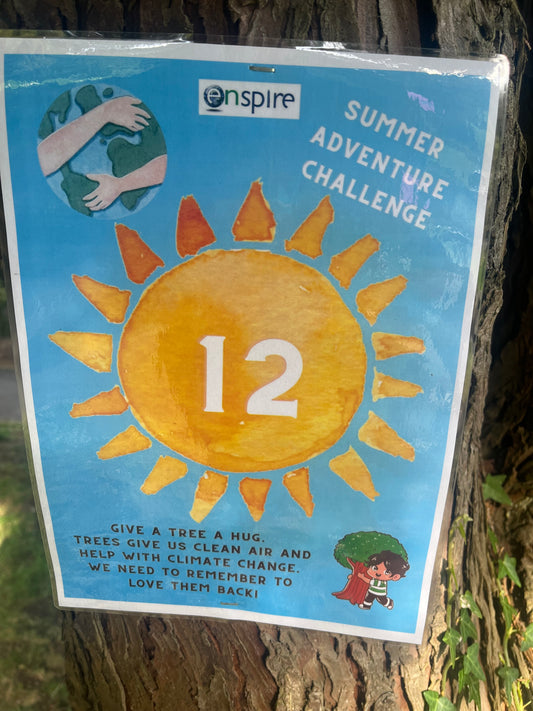 Summer Adventure Challenges