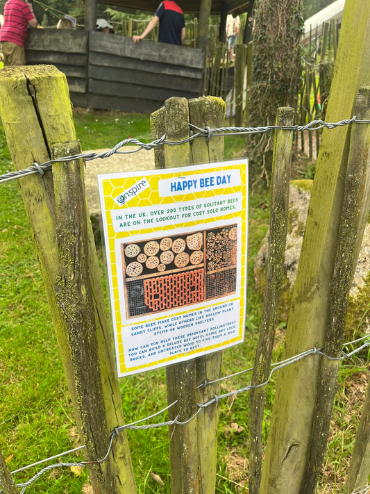 Buzzing Bees Treasure Hunt