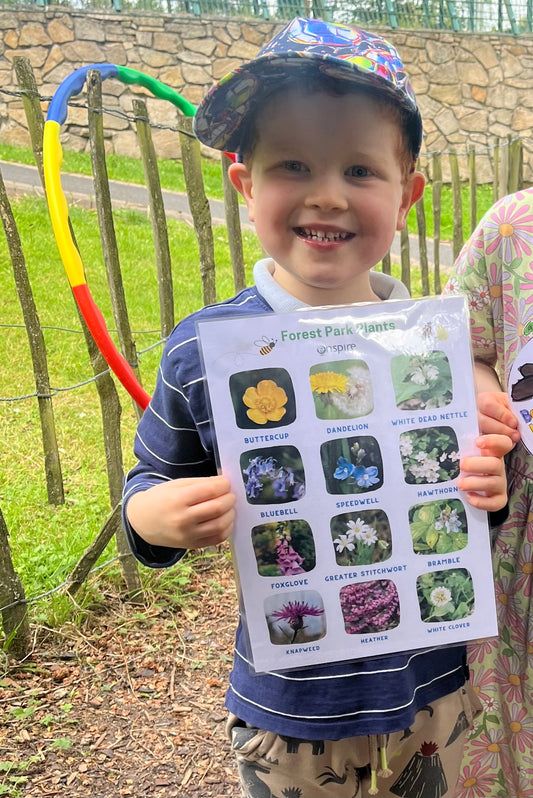 Buzzing Bees Explorer Pack