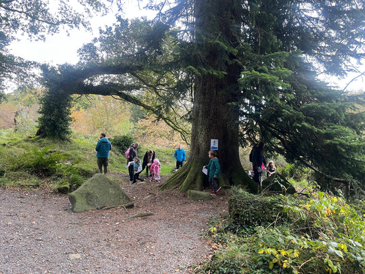 Magical Fairy Treasure Hunt