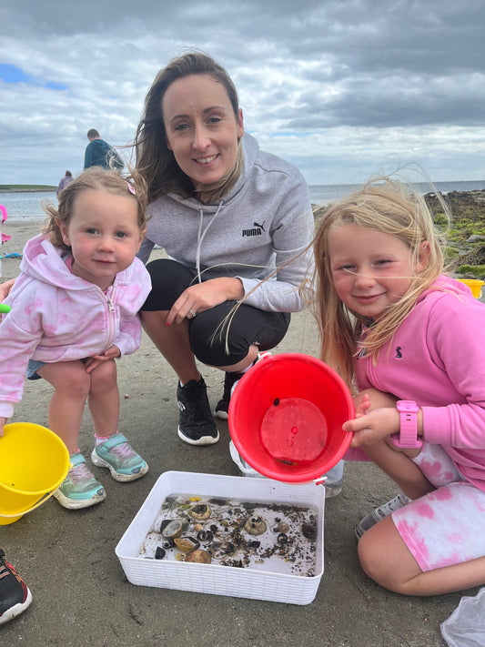 Rock Pools Explorer Pack