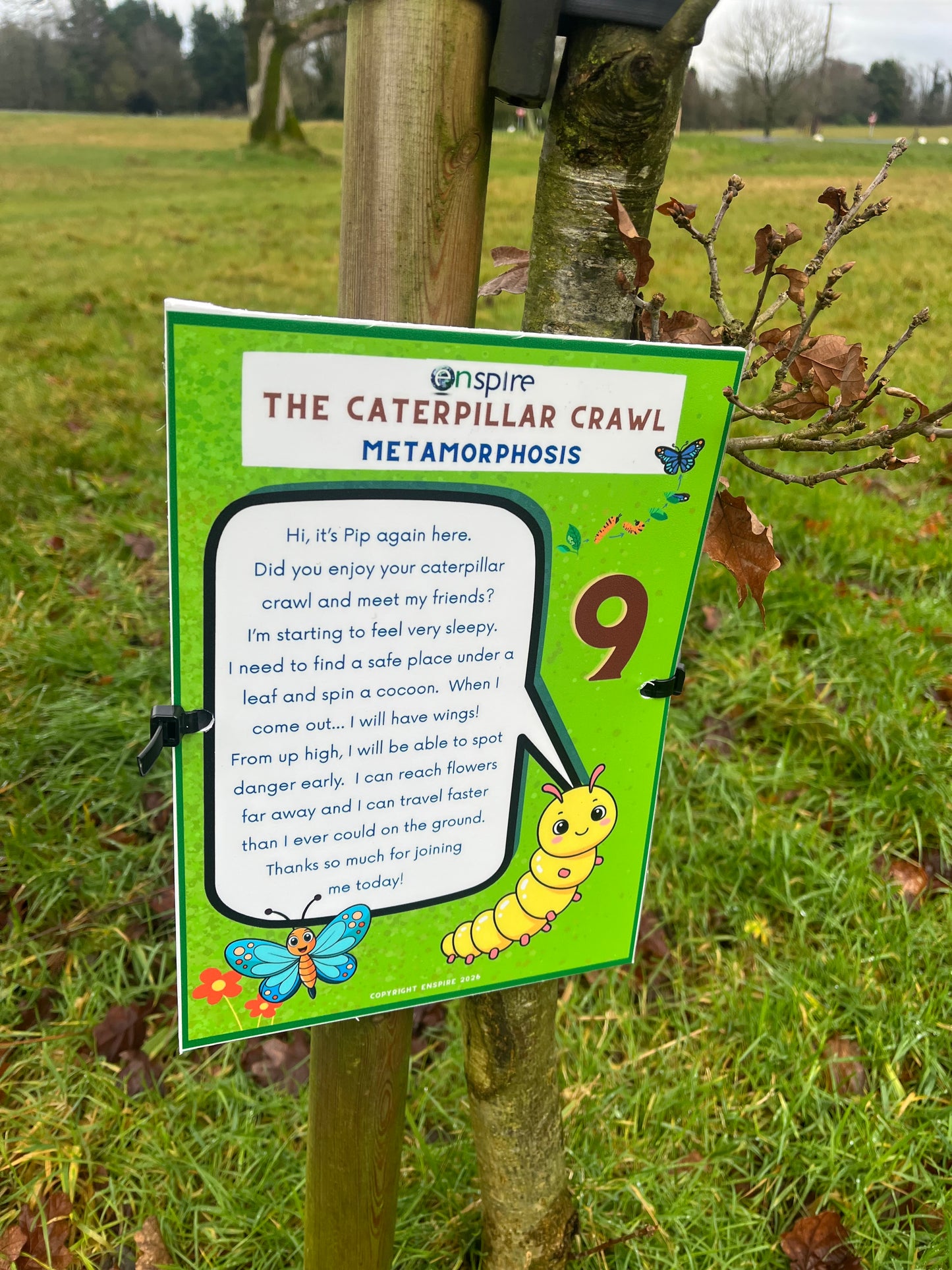 The Caterpillar Crawl Treasure Hunt
