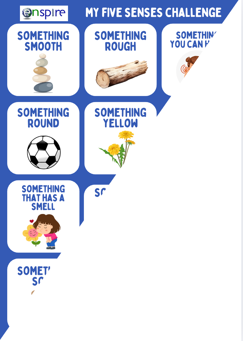 My Five Senses Challenge