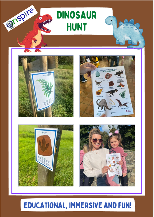 Dinosaur Treaure Hunt