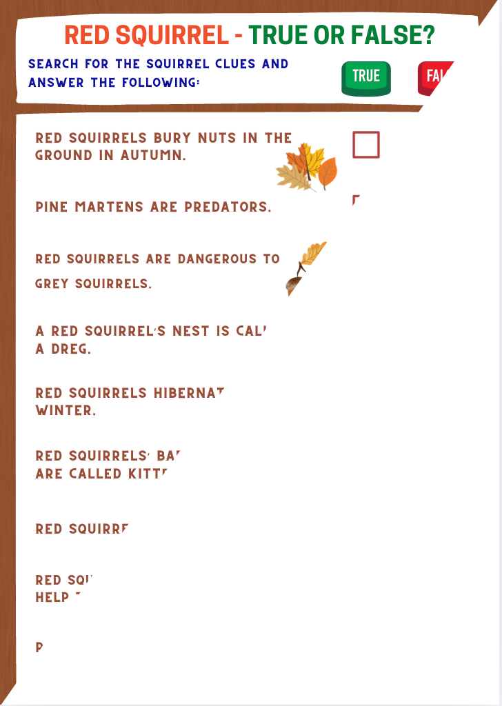 Red Squirrel Treasure Hunt