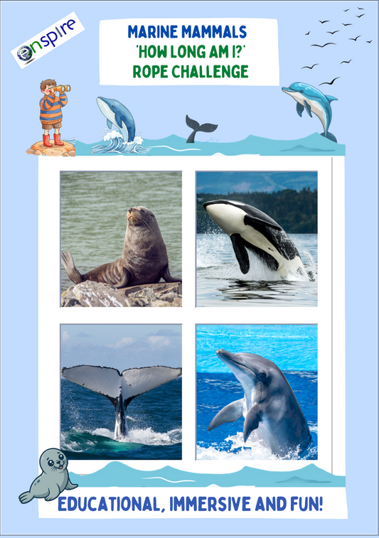 Marine Mammal ‘How Long Am I?’ – Rope Challenge