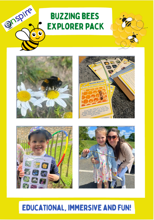 Buzzing Bees Explorer Pack