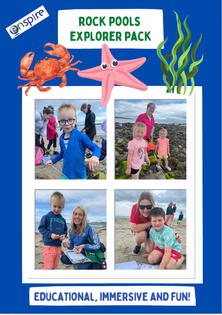Rock Pools Explorer Pack