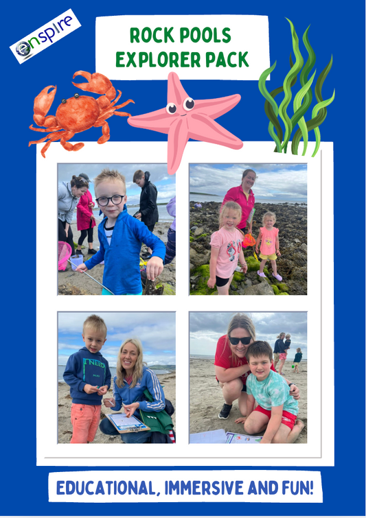 Rock Pools Explorer Pack