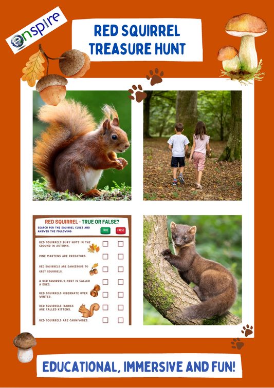 Red Squirrel Treasure Hunt