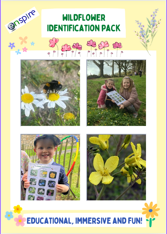 Wildflower Identification Pack