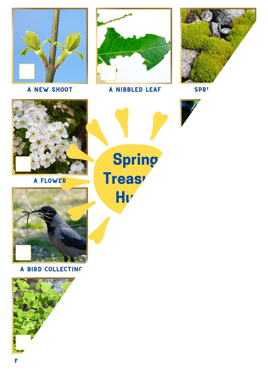 Free Download - Spring Treasure Hunt