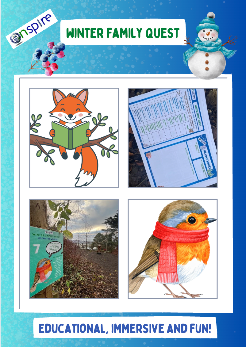 Winter Family Quest