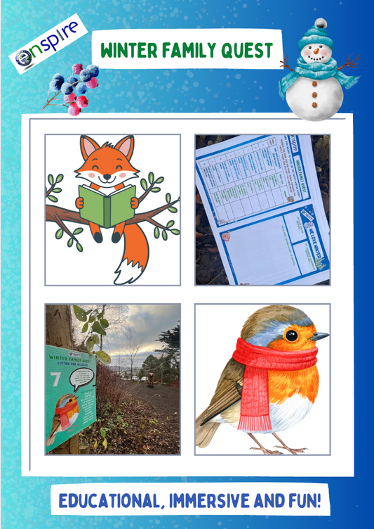 Winter Family Quest