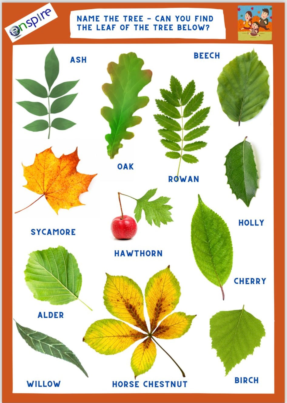 Terrific Tree Explorer Pack